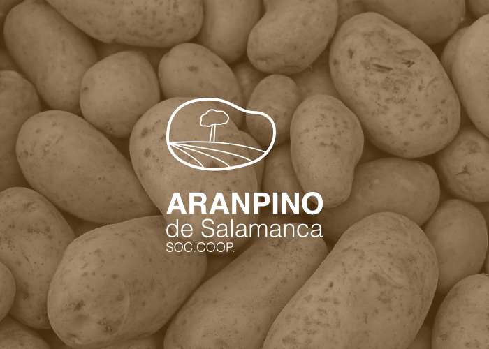 Rebranding Aranpino